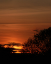 Sonnenuntergang im Bergpark